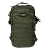 Plecak Palladium BAROUDEUR 25L Dusky Green BG623-308